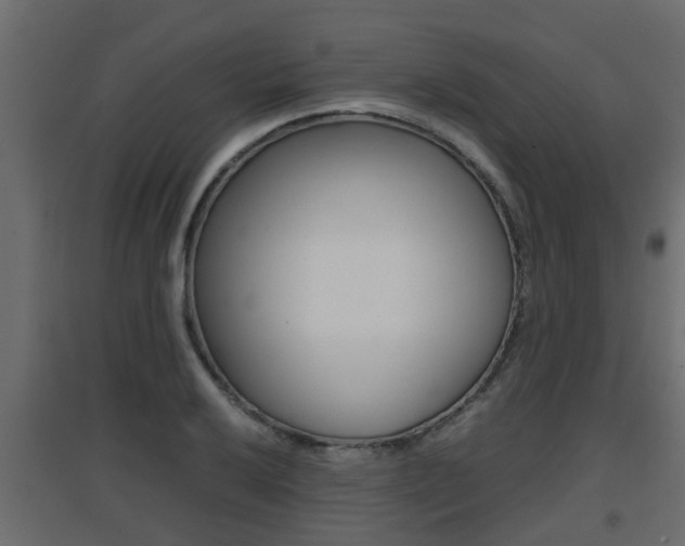 X0000094971032200711291133