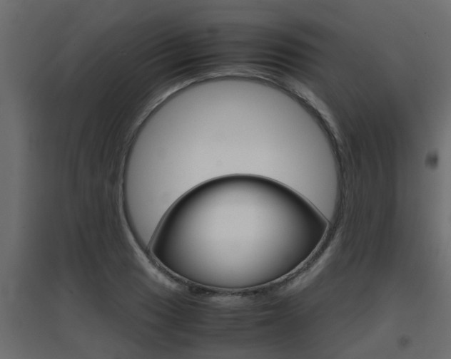 X0000094971033200711291133