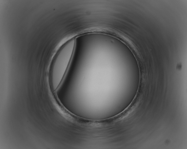 X0000094971034200711291133