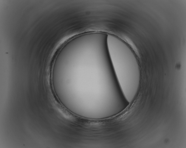X0000094971035200711291133