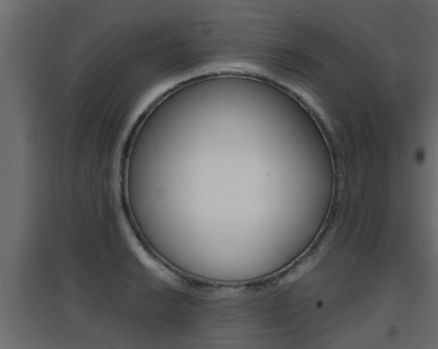 X0000094971038200711291133