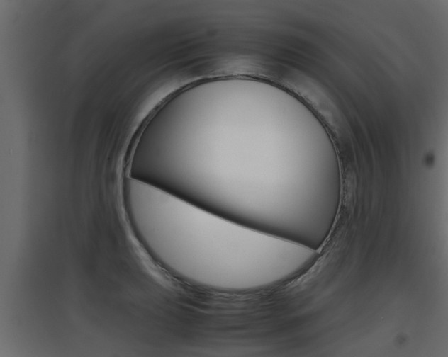 X0000094971039200711291133