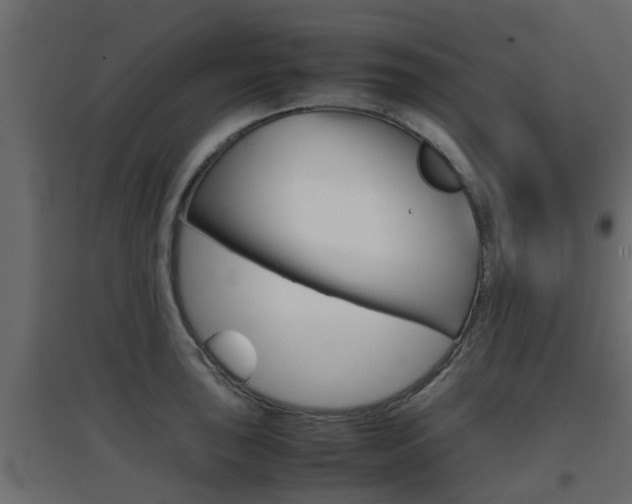 X0000094971043200711291133