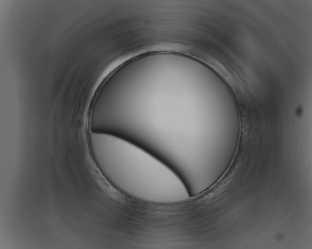 X0000094971044200711291133