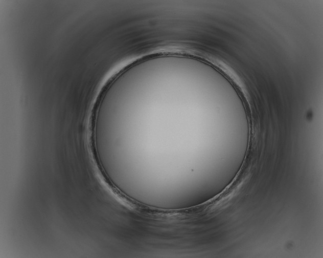X0000094971045200711291133