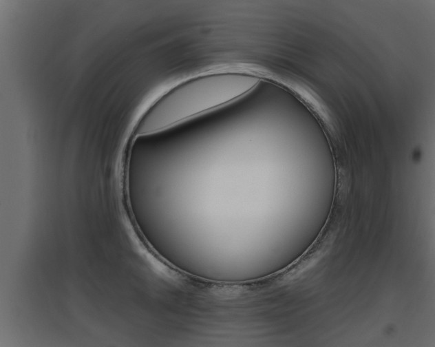 X0000094971046200711291133