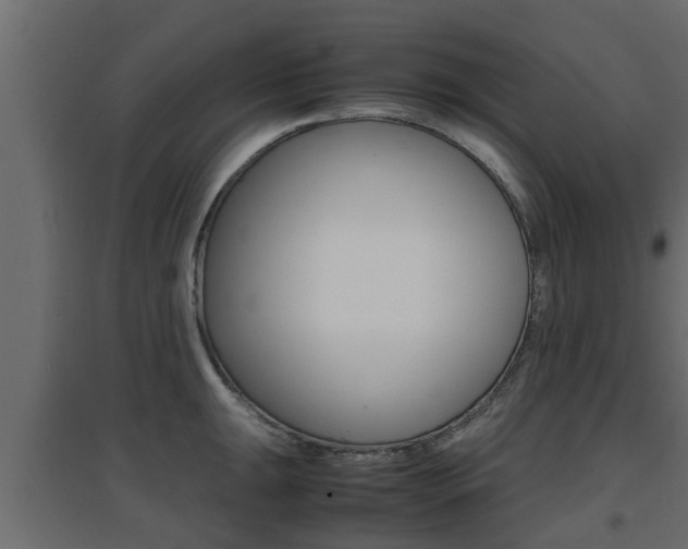 X0000094971047200711291133