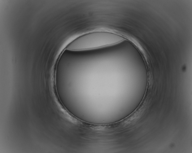 X0000094971048200711291133