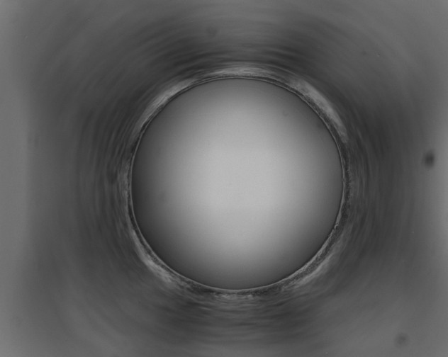 X0000094971049200711291133