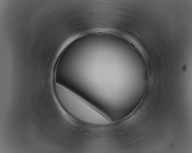 X0000094971050200711291133