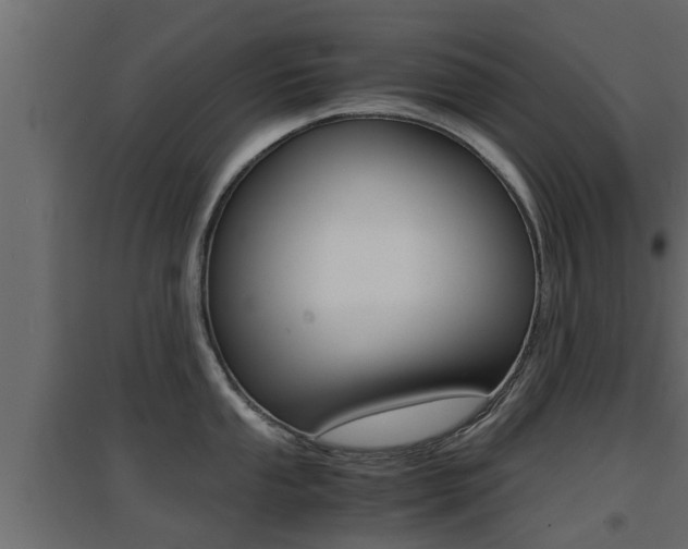 X0000094971053200711291133