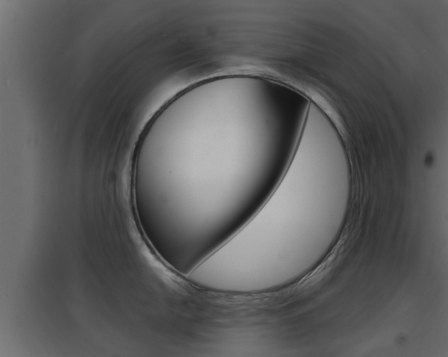 X0000094971054200711291133