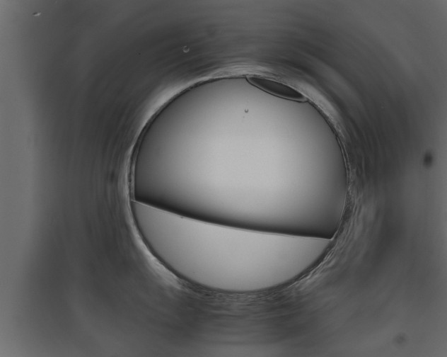 X0000094971055200711291133