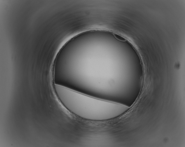 X0000094971056200711291133