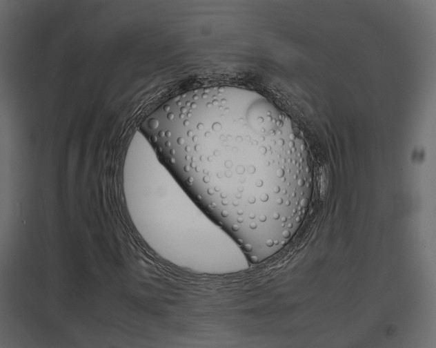 X0000094971059200711291132