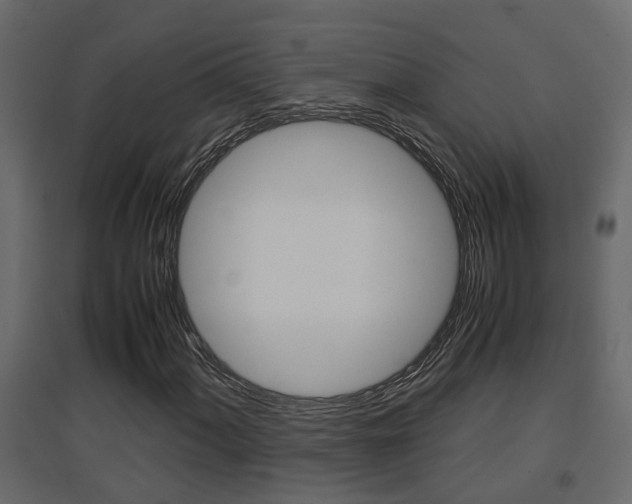 X0000094971060200711291132
