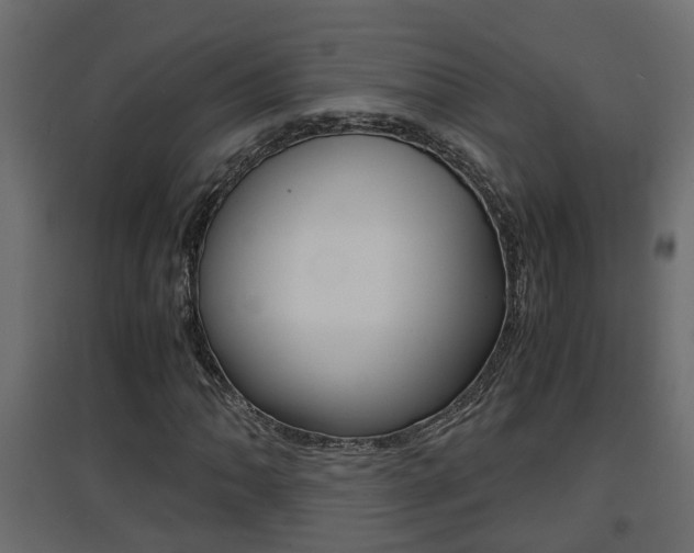 X0000094971062200711291132