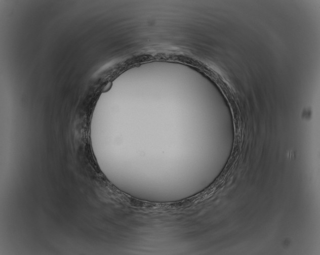 X0000094971063200711291132