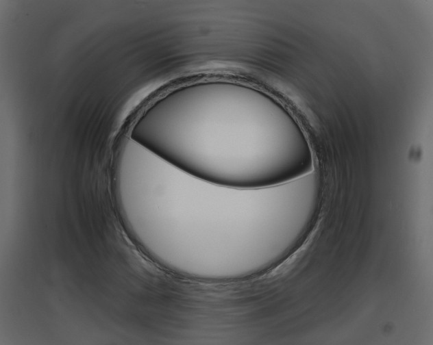 X0000094971066200711291132