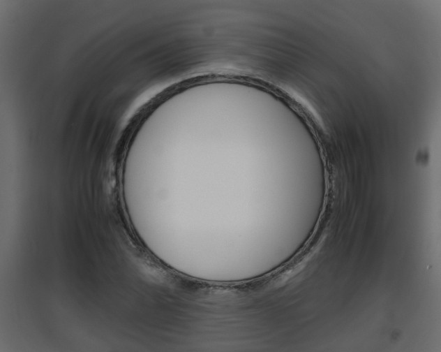 X0000094971070200711291132