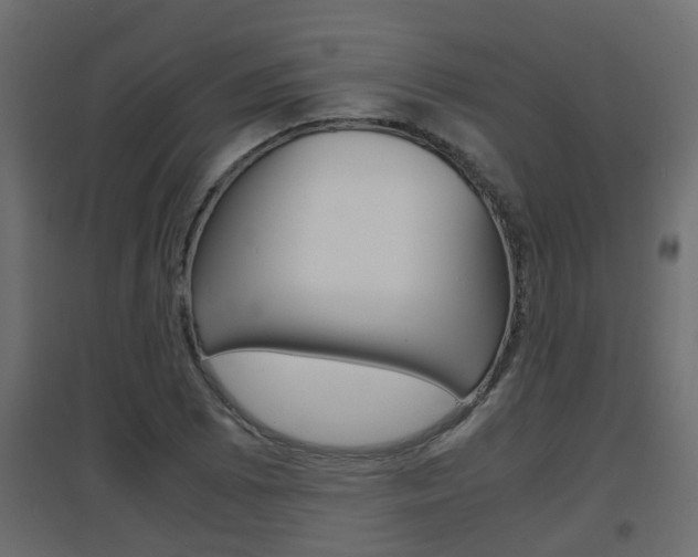 X0000094971073200711291132