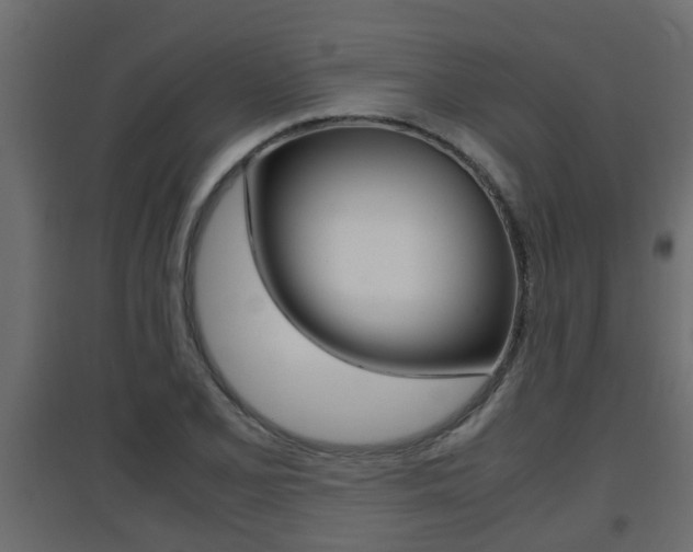 X0000094971077200711291132