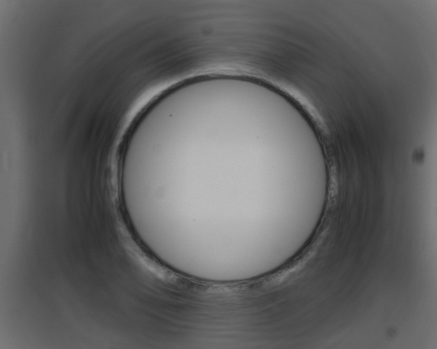 X0000094971078200711291132