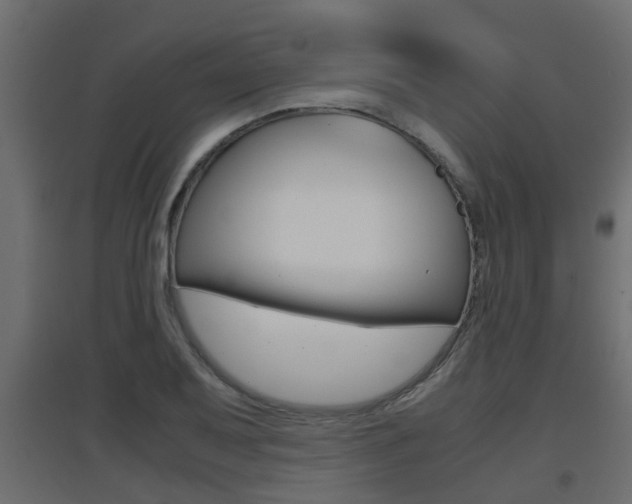 X0000094971079200711291132