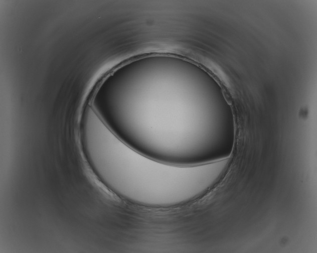X0000094971080200711291132