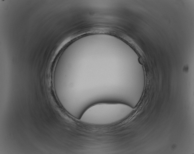 X0000094971083200711291132