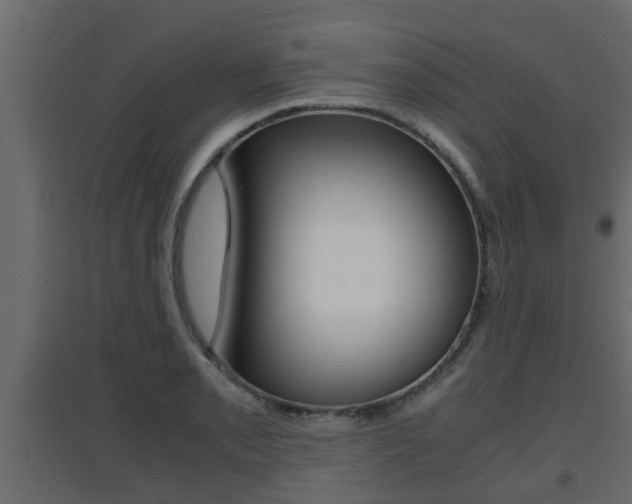 X0000094971085200711291132