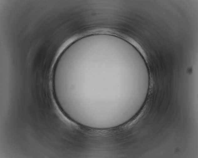 X0000094971090200711291132