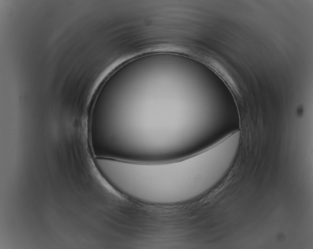 X0000094971092200711291132