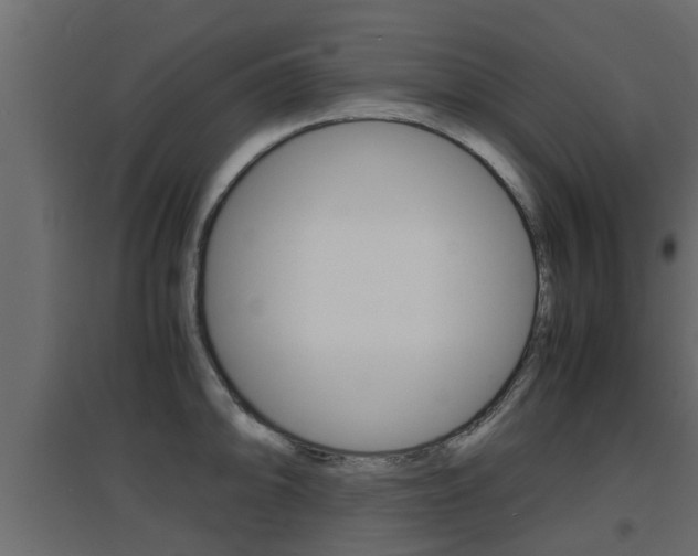X0000094971094200711291132
