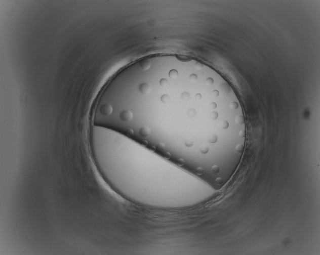 X0000094971095200711291132