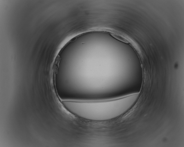 X0000094971102200711291132