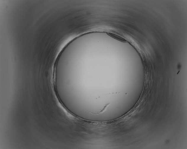 X0000094971103200711291132