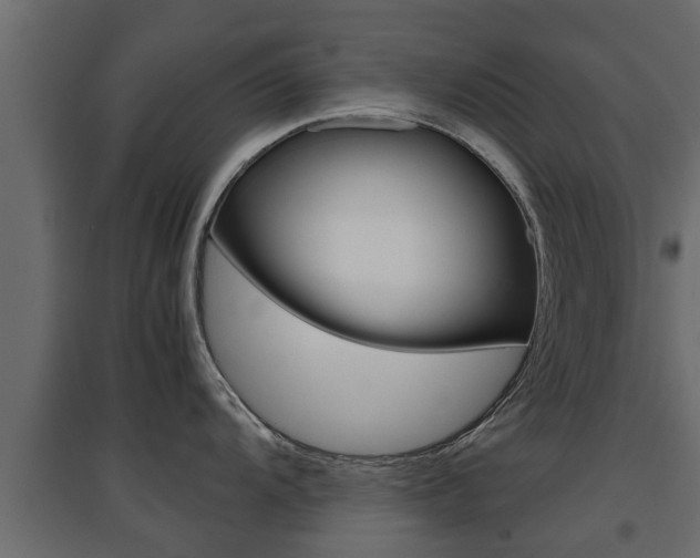 X0000094971104200711291132