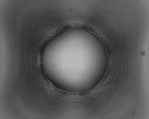 X0000094971108200711291131