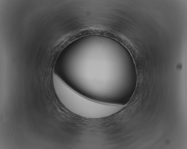 X0000094971110200711291131