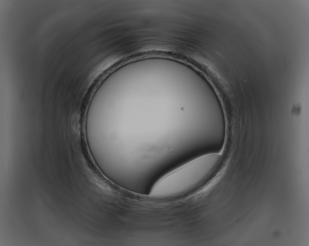 X0000094971113200711291131