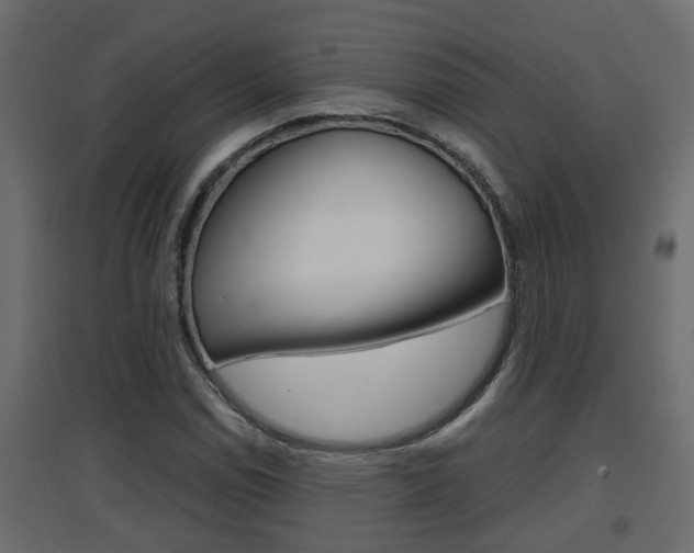 X0000094971114200711291131
