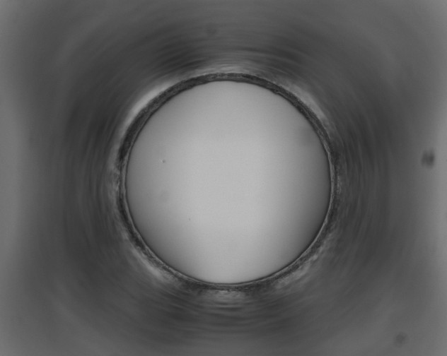 X0000094971119200711291131