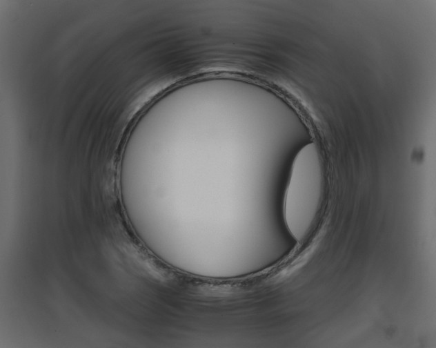 X0000094971121200711291131