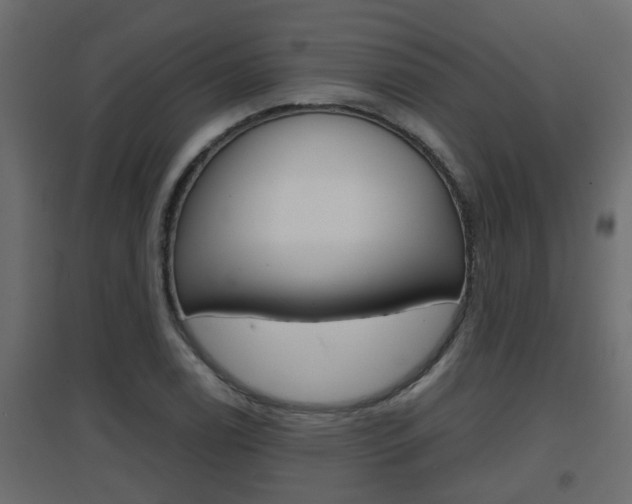X0000094971122200711291131