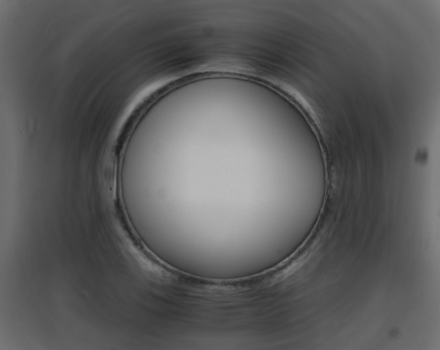 X0000094971123200711291131
