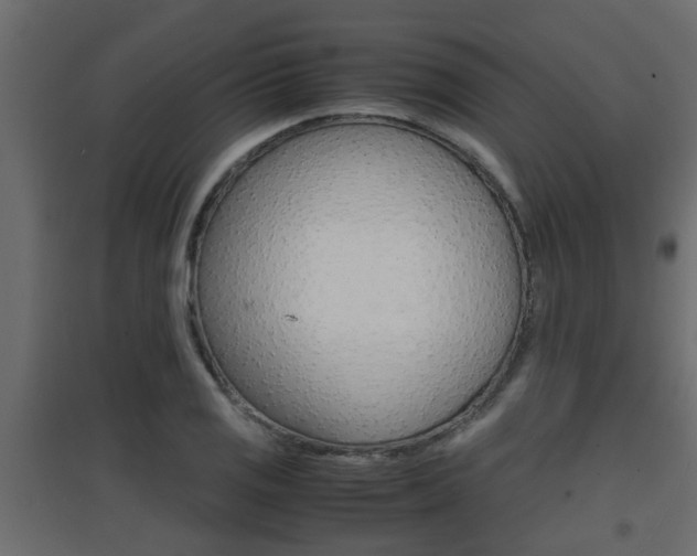 X0000094971125200711291131