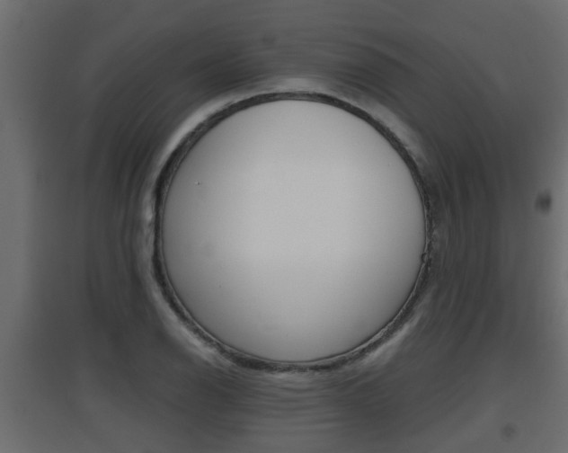 X0000094971126200711291131