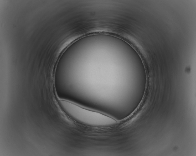 X0000094971129200711291131
