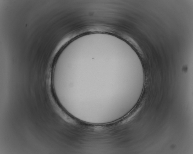 X0000094971130200711291131